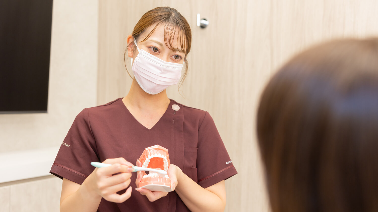 歯の模型を使って清掃方法を説明するスタッフ